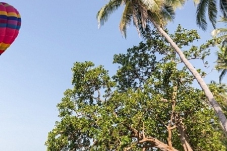 кȡʲôֺ