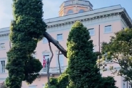 2023ŮƯк