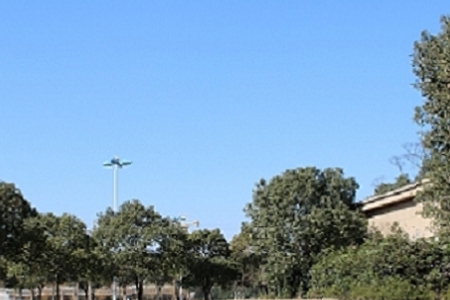 202437ճıȱʲô