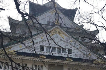 2024319ճıȱʲô