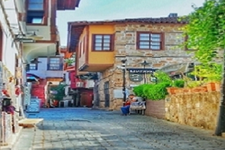 202444ճıȱʲô