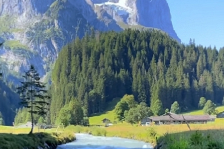 ºʫŮ