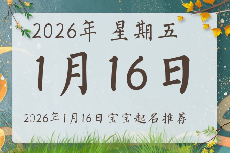 2026��1��16�ճ����ı�������ȱʲô