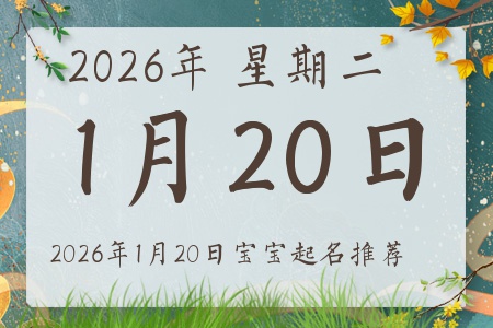 2026��1��20�ճ����ı�������ȱʲô