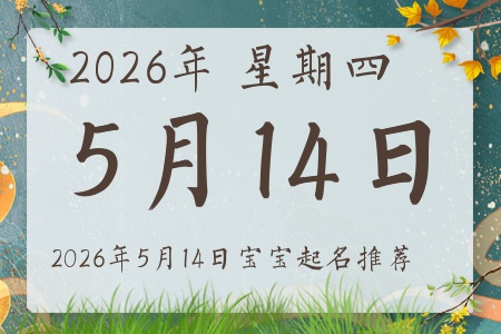 2026��5��14�ճ����ı�������ȱʲô