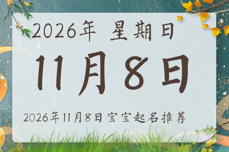 2026��11��8�ճ����ı�������ȱʲô